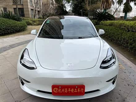 Model 3(进口) 2019款 长续航后驱版