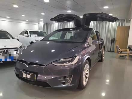 Model X 2017款 Model X 100D 长续航版