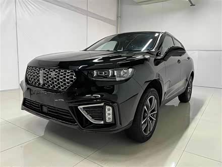 魏牌 VV5 2020款 1.5T 两驱潮先锋