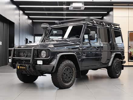 奔驰G级 2017款 G 300 中东版