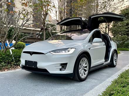 Model X 2016款 Model X 75D