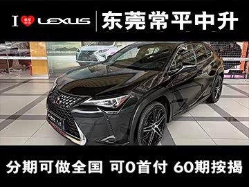 雷克萨斯UX 2020款 200 特别版
