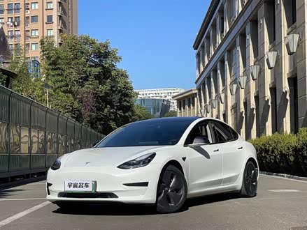 Model 3 2021款 标准续航后驱升级版