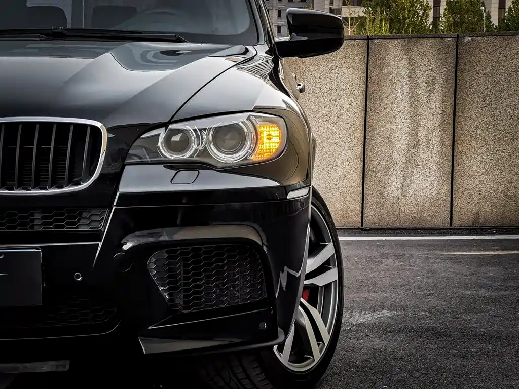 BMW X5 M 2010 X5 M