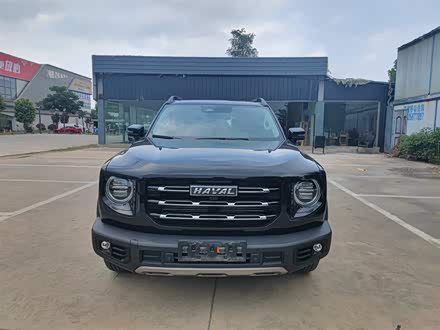 哈弗大狗 2021款 1.5T DCT两驱边牧版