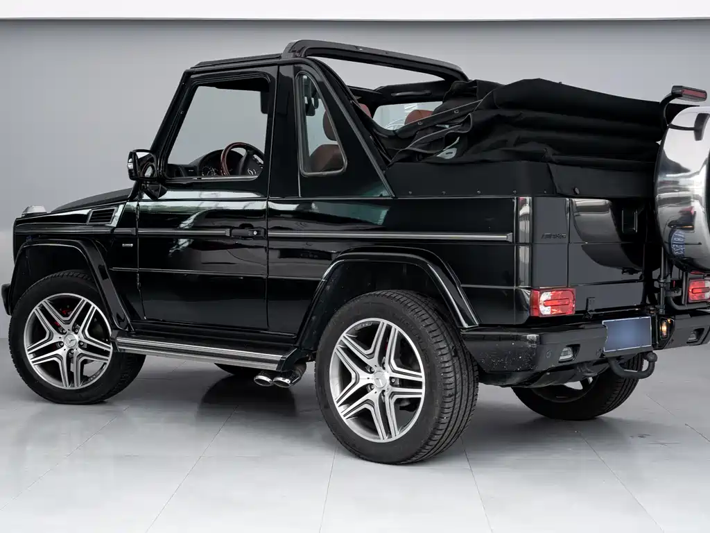 Mercedes-Benz G-Class G 2009 G 500