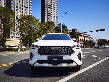 哈弗F7x 2019款 1.5T 两驱极智科技版