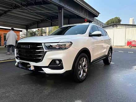 哈弗H6 2020款 1.5GDIT 自动铂金都市版