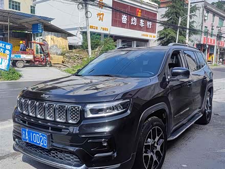 大指挥官 2020款 2.0T 两驱精英版