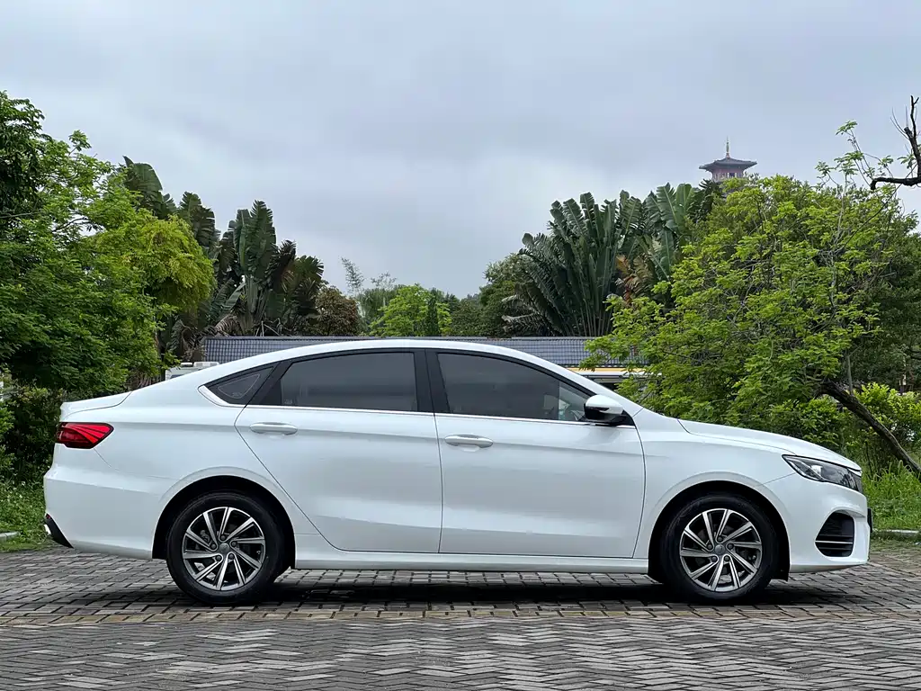 GEELY AUTOMOBILE BINRUI