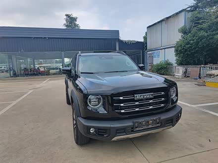 哈弗大狗 2021款 1.5T DCT两驱边牧版