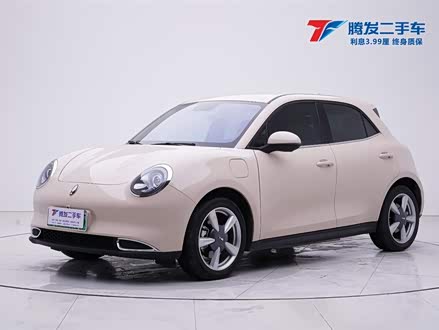欧拉好猫 2022款 400km标准续航 豪华型 磷酸铁锂