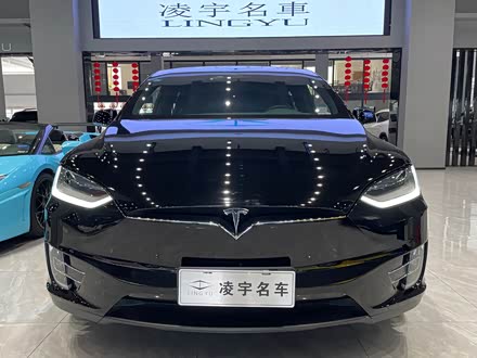 Model X 2019款 长续航版