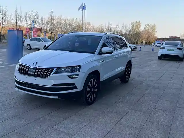 SKODA KROK 2019
