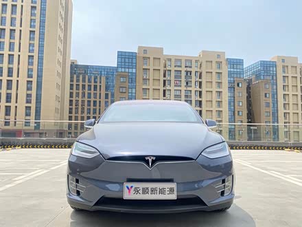 Model X 2019款 长续航版