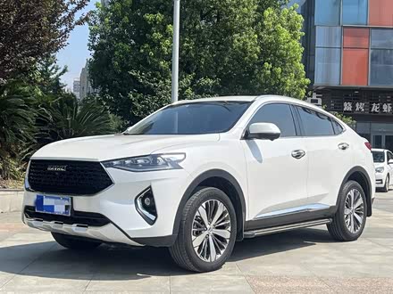 哈弗F7x 2019款 1.5T 两驱极智潮玩版