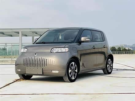 欧拉白猫 2020款 305km 豪华型