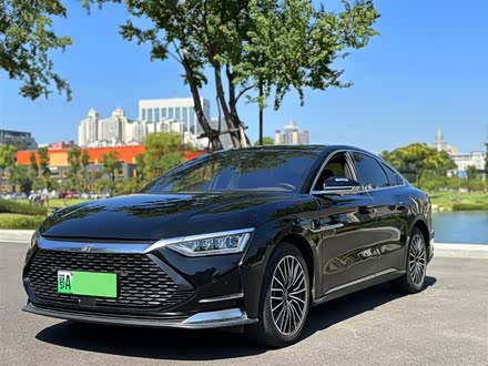 汉 2020款 DM 四驱性能版尊贵型