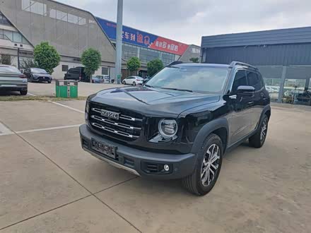 哈弗大狗 2021款 1.5T DCT两驱边牧版