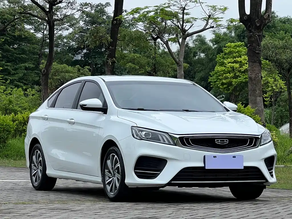 GEELY AUTOMOBILE BINRUI