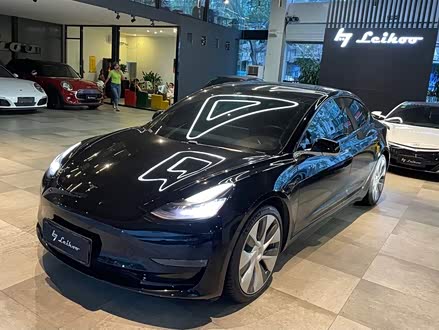 Model 3进口 2019款 Performance高性能全轮驱动版