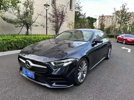 奔驰CLS 2020款 CLS 300 动感型