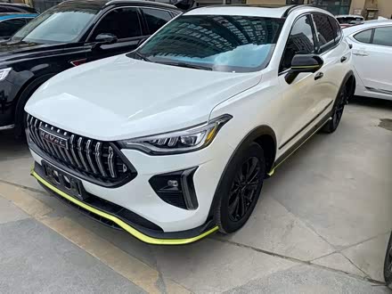 哈弗赤兔 2021款 激擎版 1.5T 铂金兔