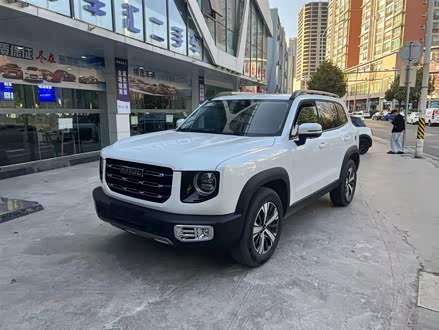 哈弗大狗 2021款 1.5T DCT两驱边牧版