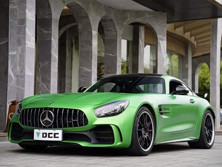 AMG GT 2017款 AMG GT R