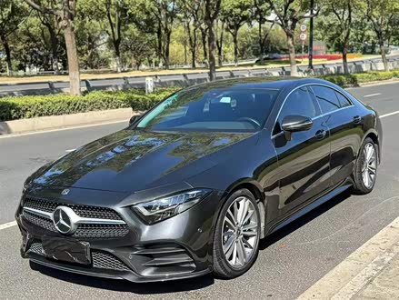 奔驰CLS 2020款 CLS 300 动感型