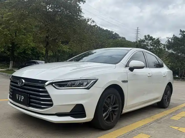 BYD QIN PRO 2020