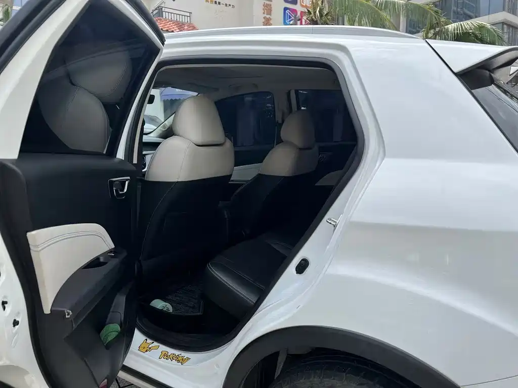 RUILAN AUTOMOBILE MAPLE LEAF 30X