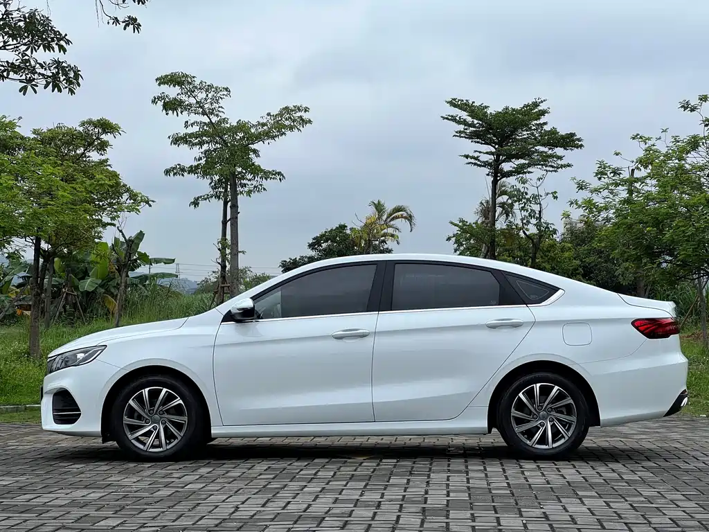 GEELY AUTOMOBILE BINRUI