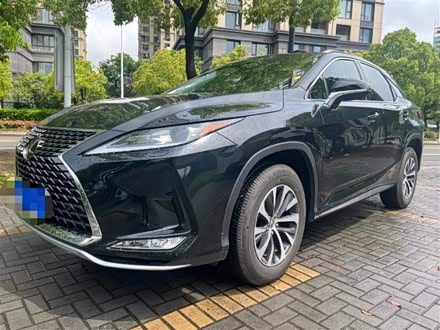 雷克萨斯RX 2020款 300 两驱精英版 国VI