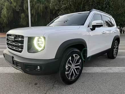 哈弗大狗 2021款 1.5T DCT两驱边牧版