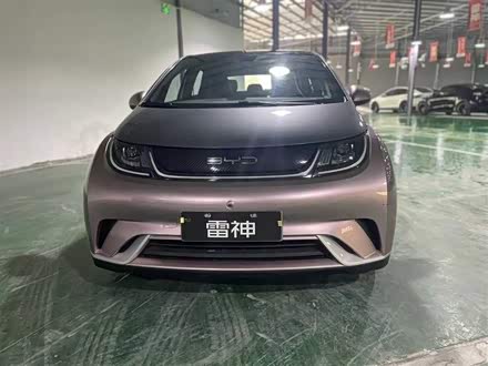 海豚 2021款 405km 时尚版