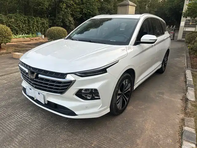 WULING AUTOMOBILE WULING CAPGEMINI 2022