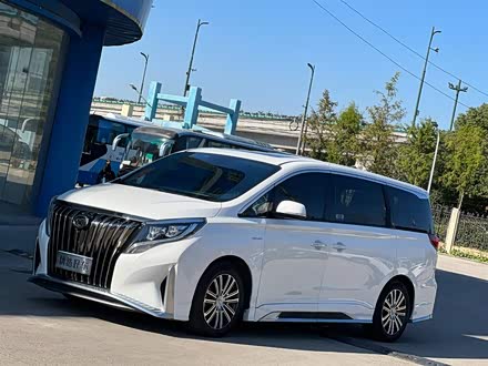传祺M8 2021款 大师系列 390T 尊贵版