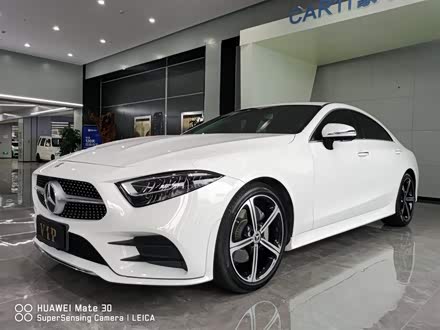 奔驰CLS 2020款 CLS 300 动感型