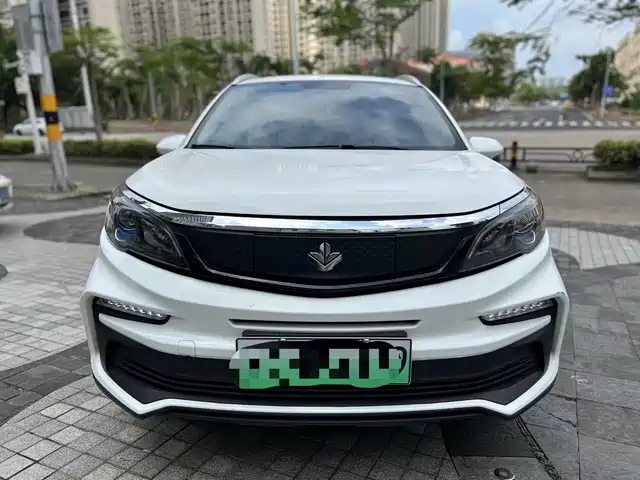 ruilan-automobile maple-leaf-30x