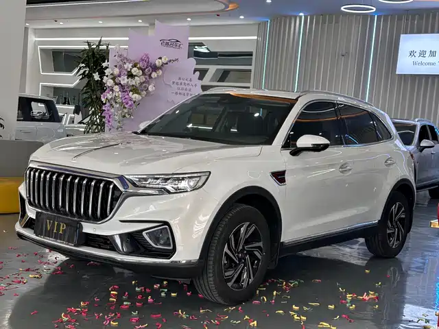 RED FLAG HONGQI HS5 2020