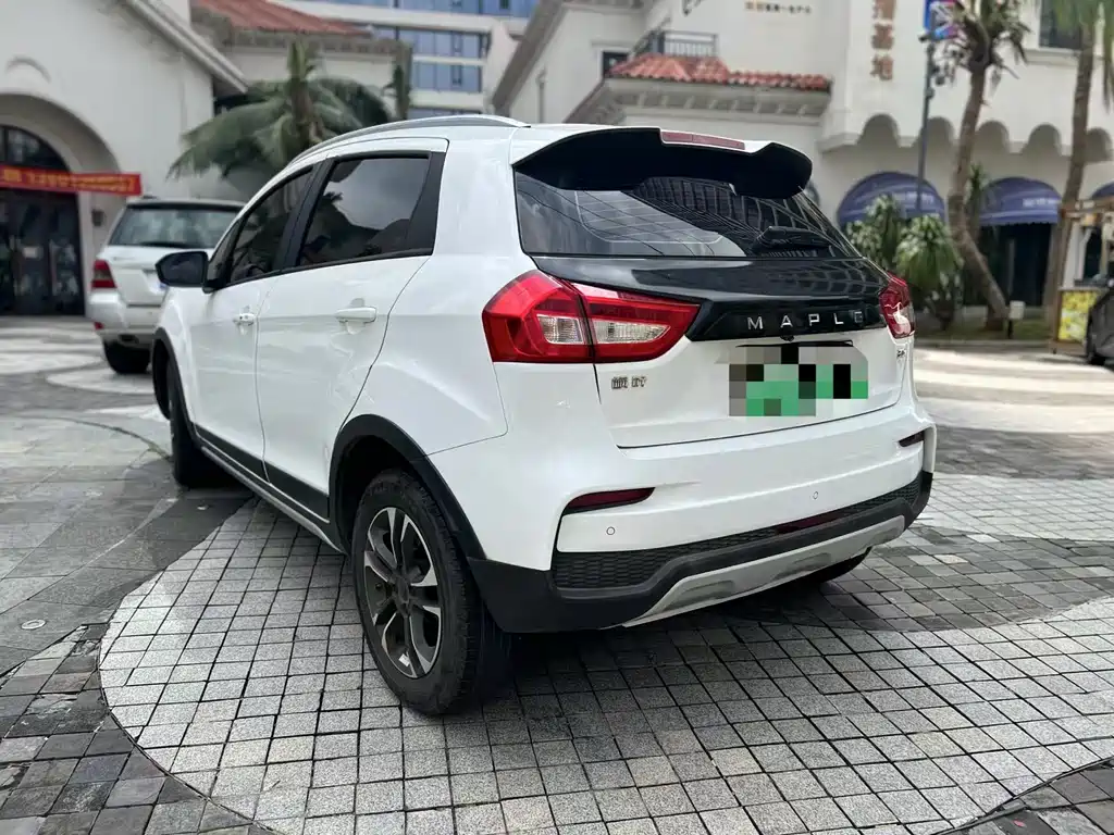 RUILAN AUTOMOBILE MAPLE LEAF 30X