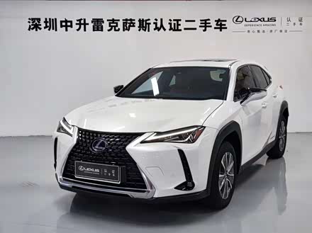 雷克萨斯UX新能源 2020款 300e 纯·悦版