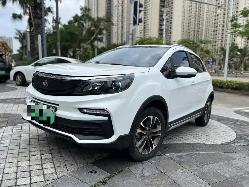 RUILAN AUTOMOBILE MAPLE LEAF 30X