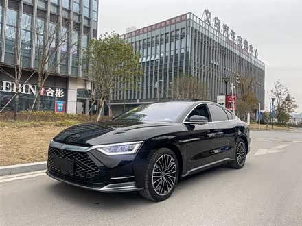 汉 2020款 DM 四驱性能版豪华型