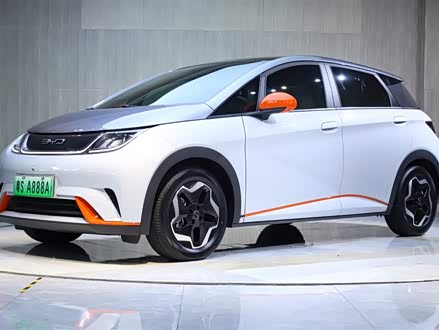 海豚 2021款 405km 时尚版