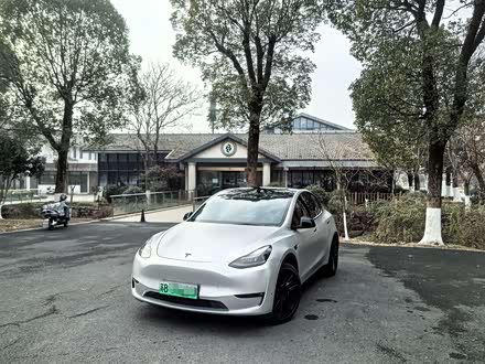 Model Y 2021款 标准续航后驱版