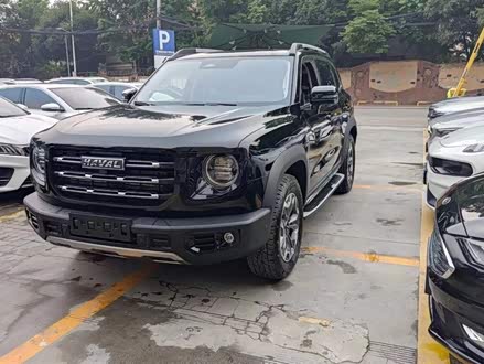 哈弗大狗 2021款 1.5T DCT两驱边牧版