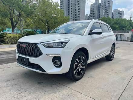 哈弗H6 Coupe 2018款 红标 1.5T 自动两驱超豪型