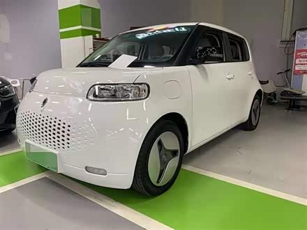 欧拉白猫 2020款 401km 长续航型